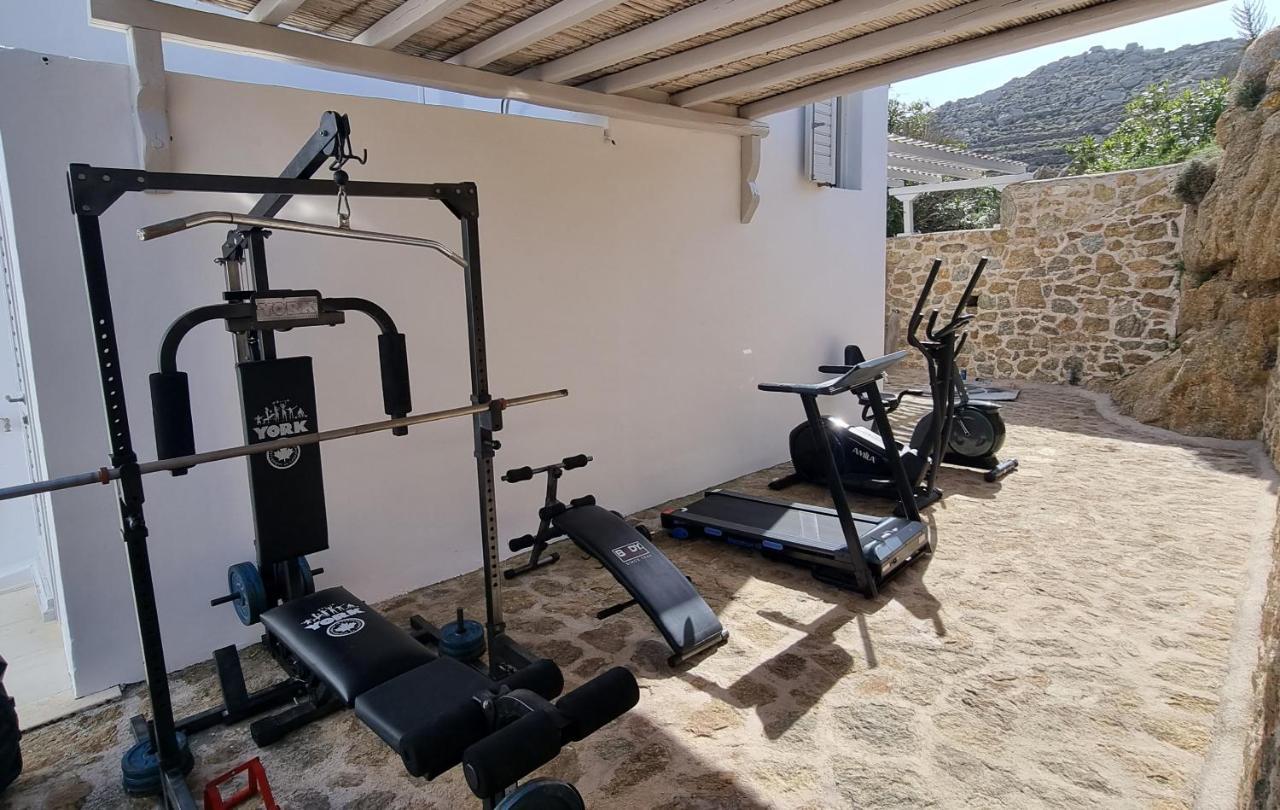Irene Mykonos Villa *